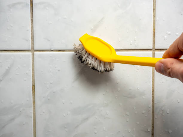 Professional Mold Removal in Allentown, PA