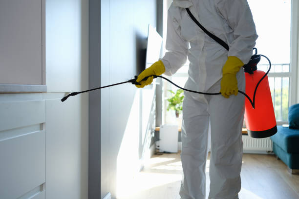 Best Professional Mold Removal  in Allentown, PA