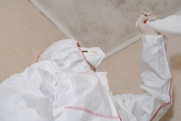 Best Crawl Space Mold Removal  in Allentown, PA