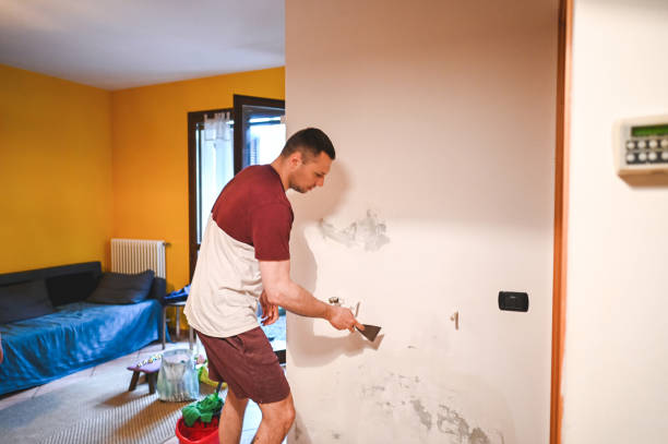 Best Mold Removal Company Near Me  in Allentown, PA