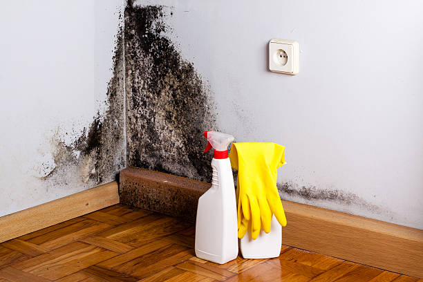 Water Damage Restoration in Allentown, PA